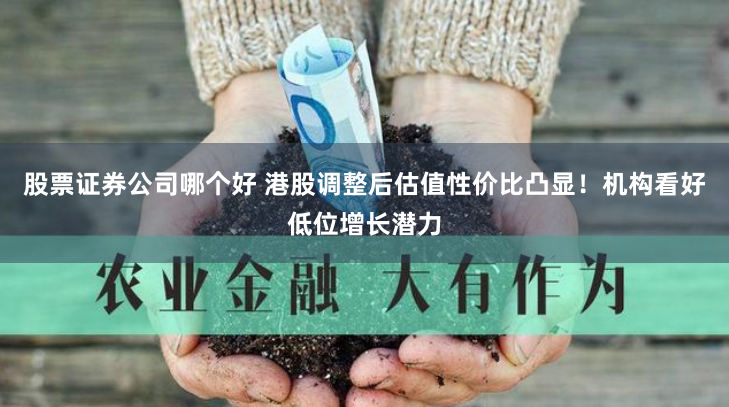 股票证券公司哪个好 港股调整后估值性价比凸显！机构看好低位增长潜力