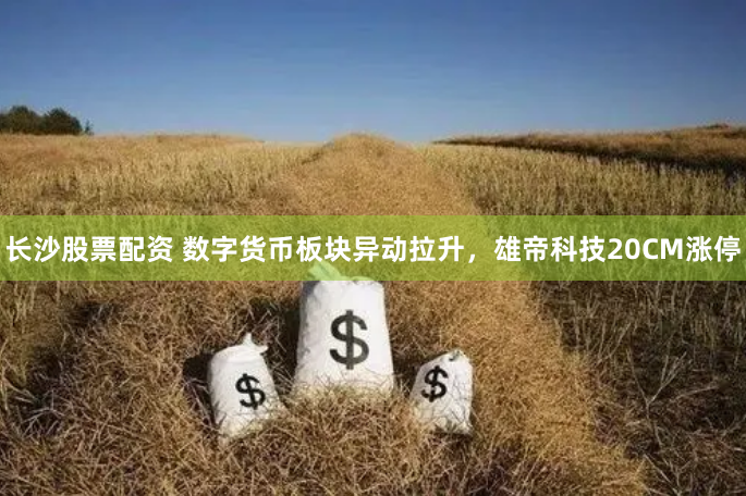 长沙股票配资 数字货币板块异动拉升，雄帝科技20CM涨停