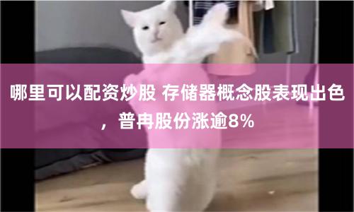 哪里可以配资炒股 存储器概念股表现出色，普冉股份涨逾8%