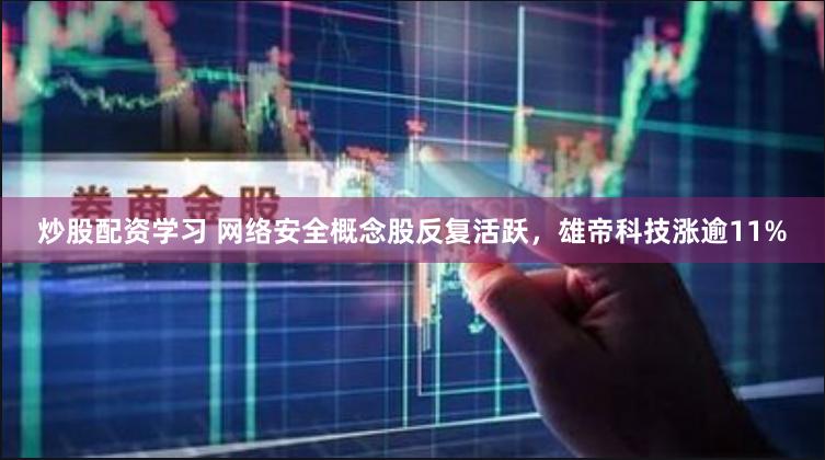 炒股配资学习 网络安全概念股反复活跃，雄帝科技涨逾11%