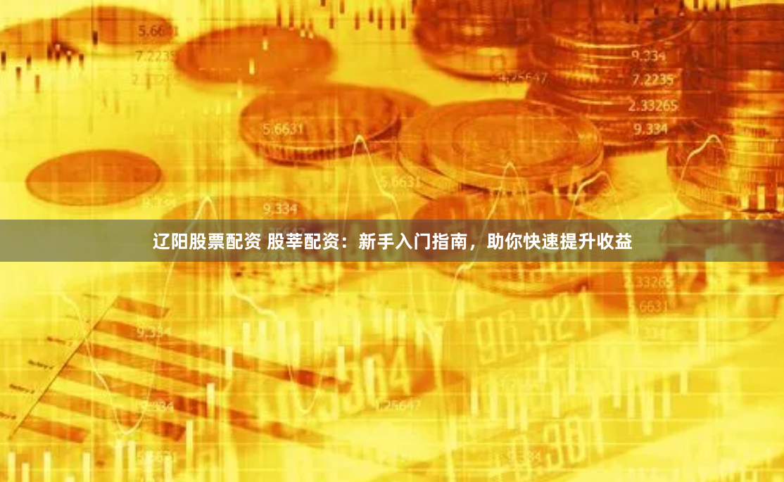 辽阳股票配资 股莘配资：新手入门指南，助你快速提升收益